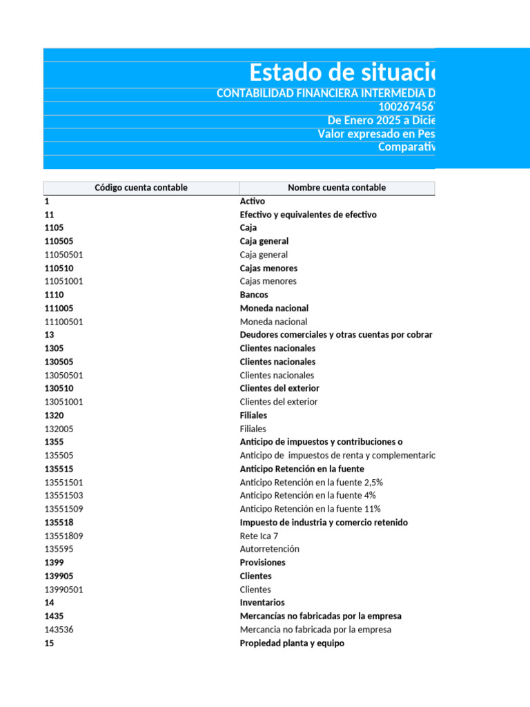 Estado de Situación Financiera | PDF | Contabilidad | Economias