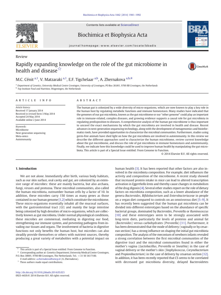 Gut Microbiome's Role in Health & Disease | PDF | Microbiota | Macrophage
