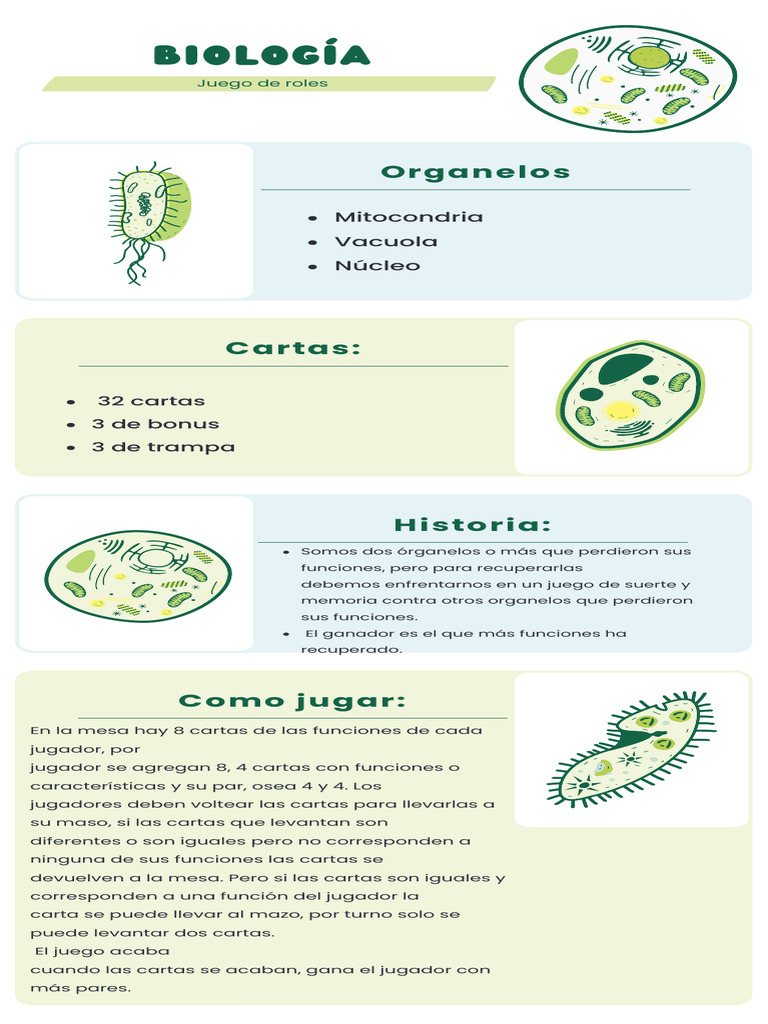 Types of Cells Infographic in Green White Blue Illustrative Style ...