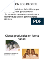 Clonación Animal. Ivo Franz Carreño Manrique - UNMSM.Med - Veterinaria.