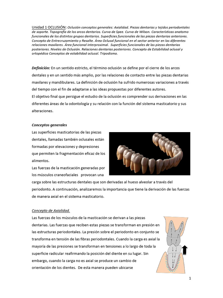 Axialidad de Fuerzas Oclusales | PDF | Odontología | Anatomia dental
