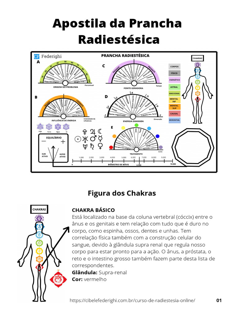 Entenda os Chakras e suas Funções | PDF | Chacra | Corpo humano