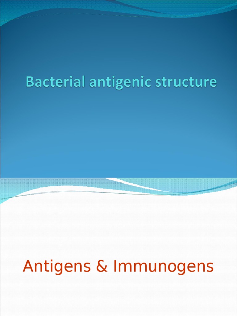 Bacterial Antigenic Structure PDF Antigen Immunogenicity