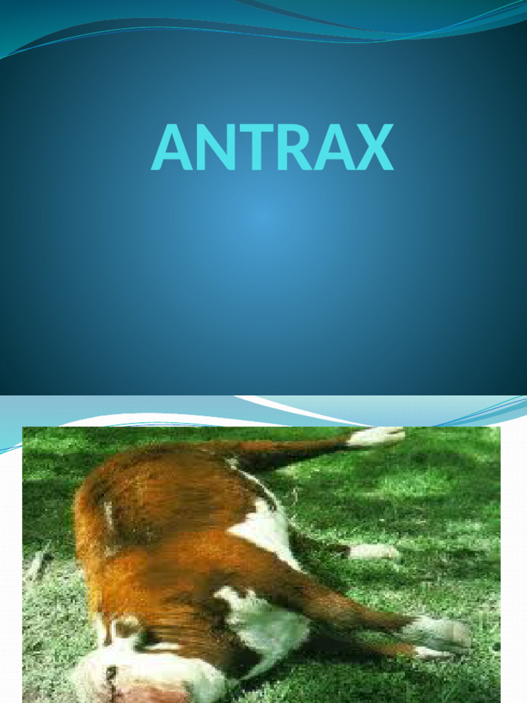 14.-ANTRAX | PDF | Ántrax | Enfermedades y trastornos humanos