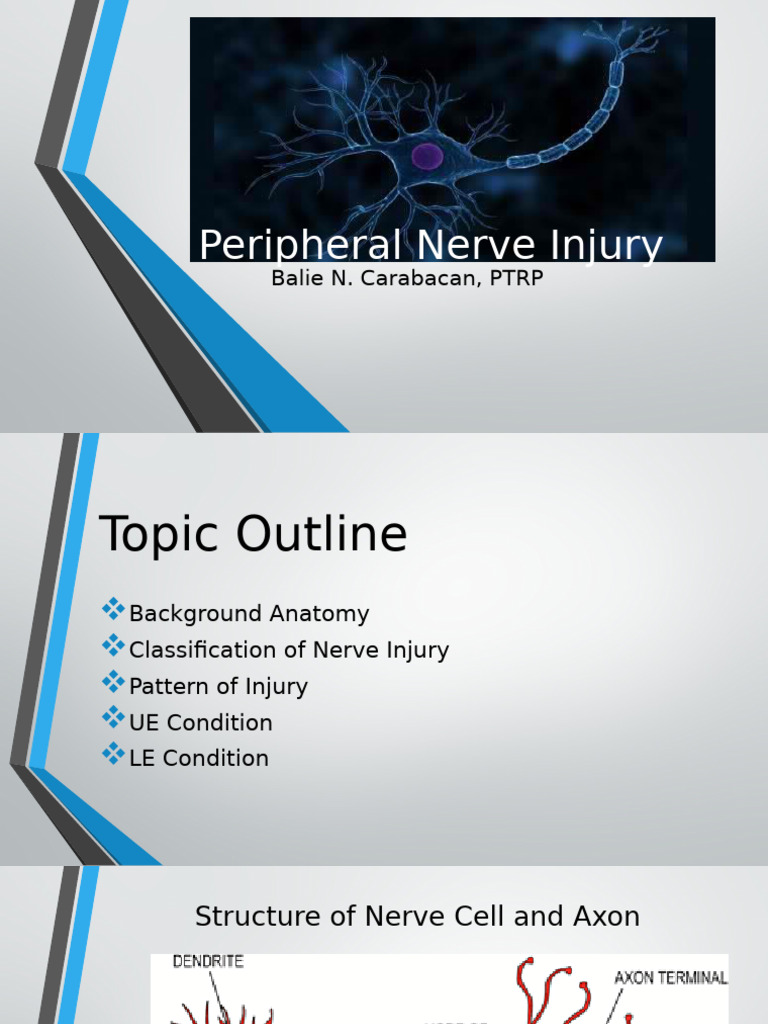 Understanding Peripheral Nerve Injuries | PDF | Anatomical Terms Of ...