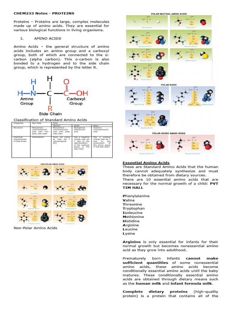 CHEM233 Notes - Proteins | PDF | Amino Acid | Alpha Helix