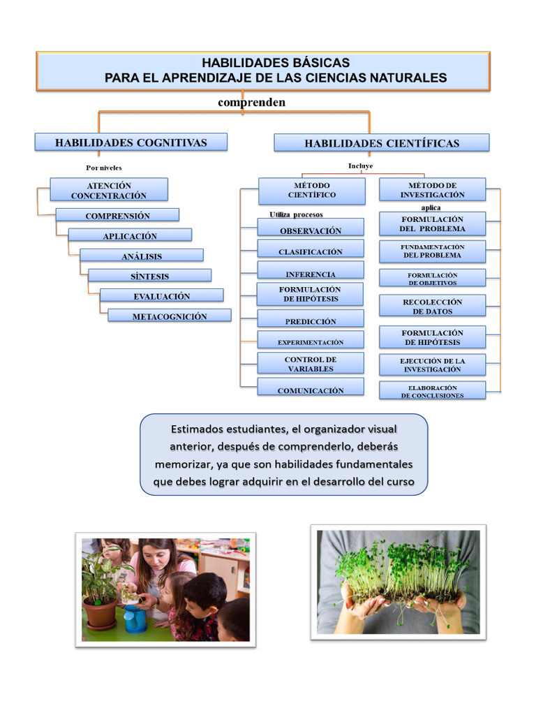 Habilidades Basicas para El Aprendizaje de Las CCNN | PDF