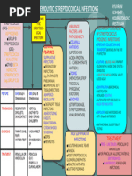 Calculating CHESS Scale Scores | PDF | Geriatrics | Medical Specialties