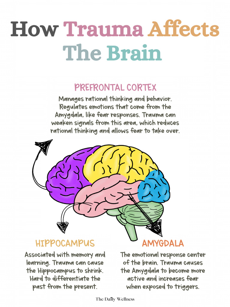 How Trauma Affects The Brain Poster - The Daily Wellness | PDF