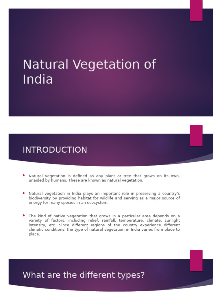 Types of Natural Vegetation in India | PDF | Forests | Trees