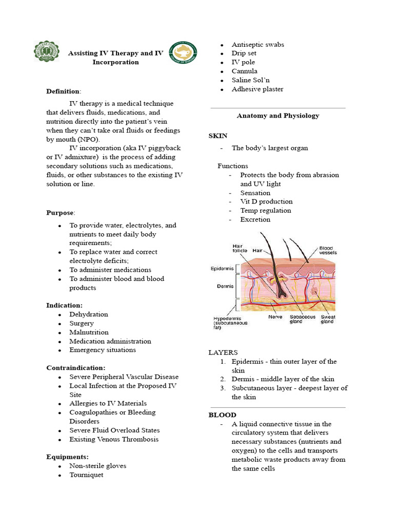 IV Therapy and Incorporation Guide | PDF | Intravenous Therapy | Vein