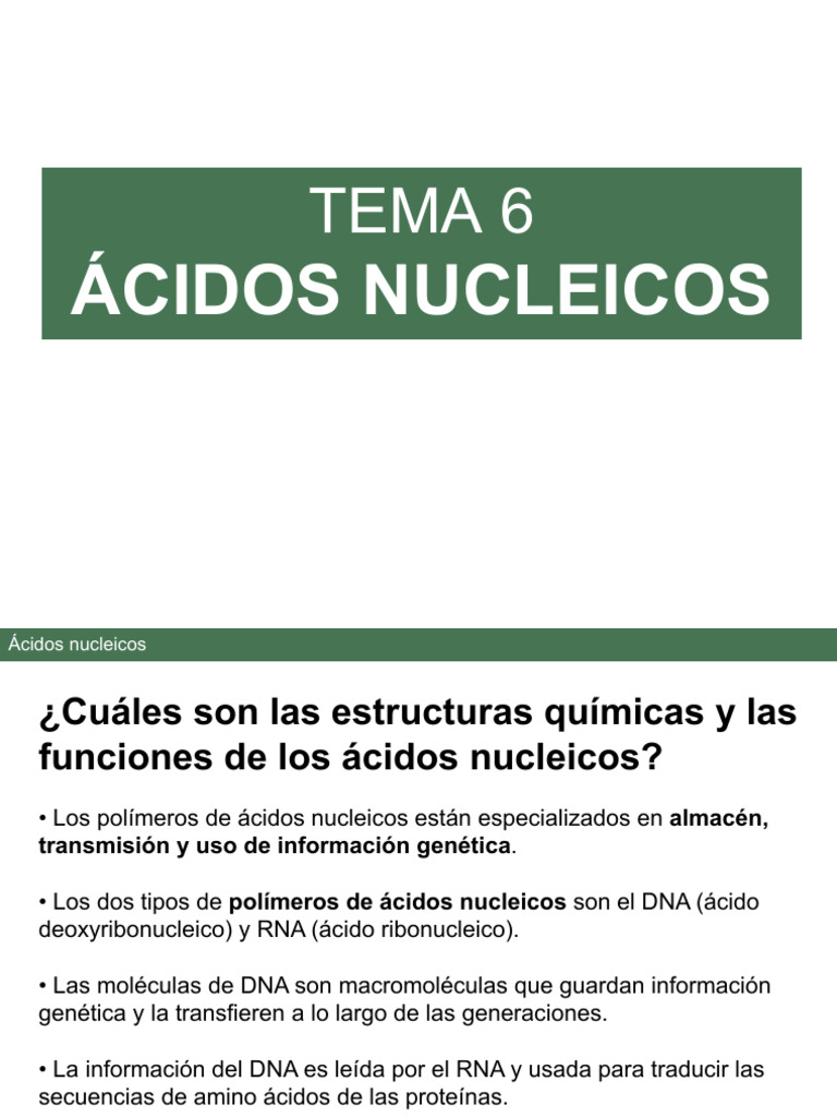 Estructura y Función de Ácidos Nucleicos | PDF | Ácidos nucleicos | Rna