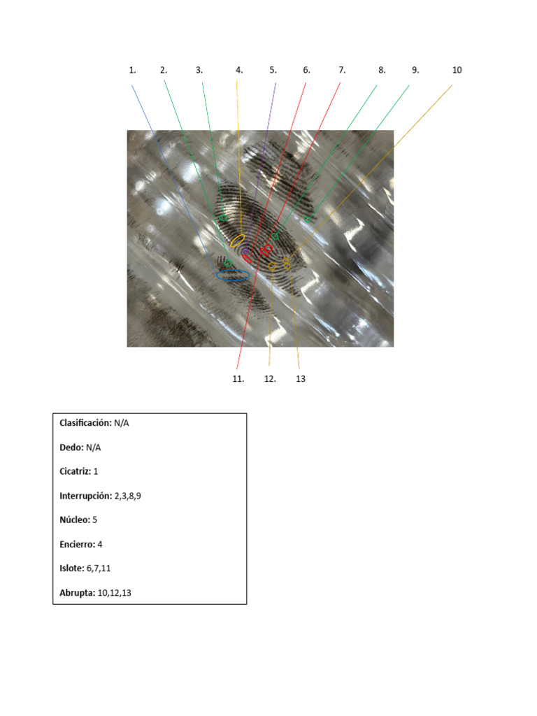 Dactilo Huella1 | PDF