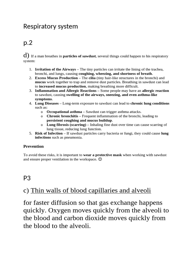 Respiratory System Answers | PDF