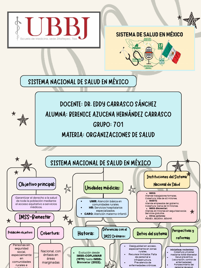 Organización del Sistema de Salud en México | PDF | Programas sociales ...