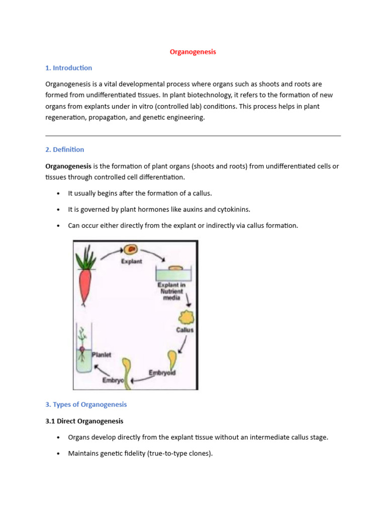 Organogenesis Ai | PDF | Biological Processes | Reproduction