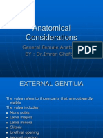 Anatomical Considerations LEC 1