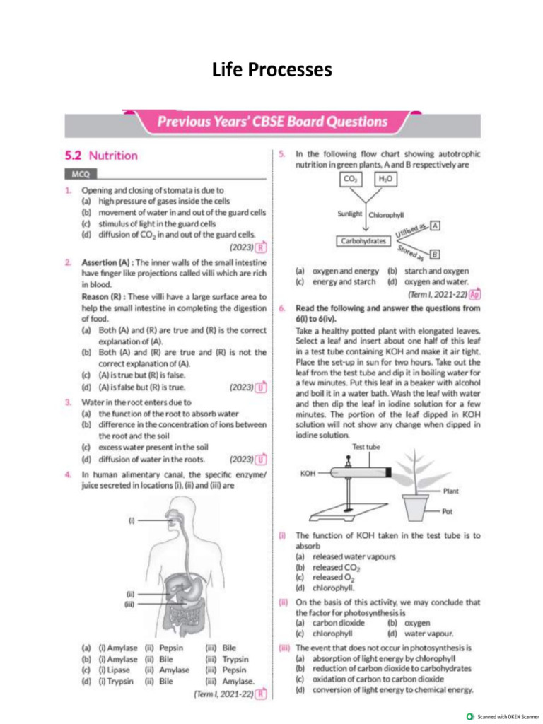 PYQ (Nutrition Respiration) | PDF