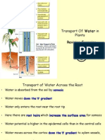 Transport of Water in Plants