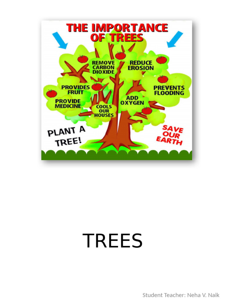 TREES | PDF