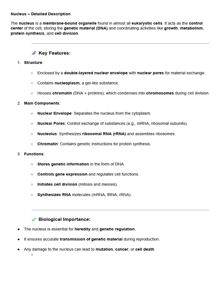 Nucleus Structure and Functions Explained | PDF