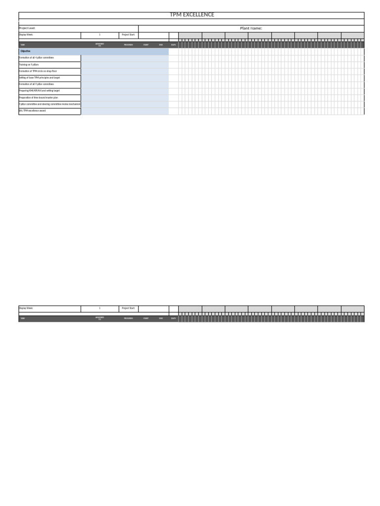 TPM Excellence Project Overview | PDF
