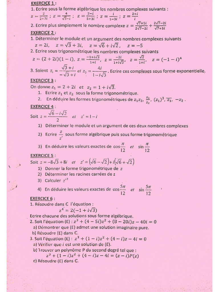 L1 | PDF