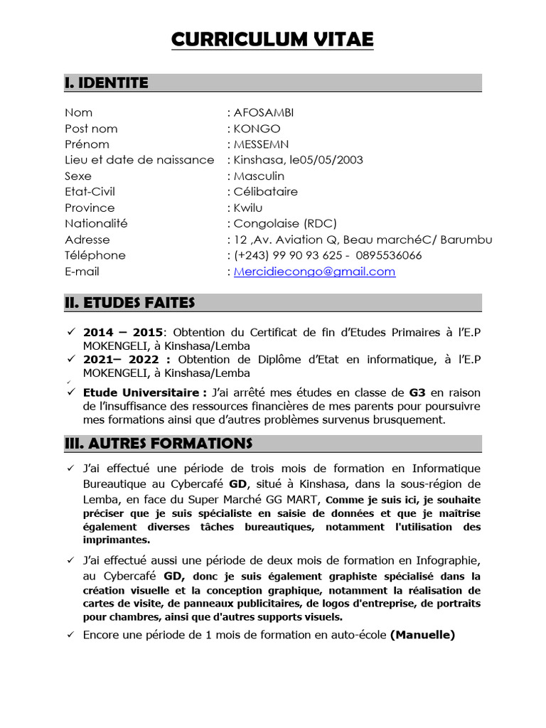CV de Kongo Messmen, Informaticien | PDF