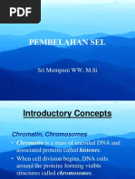 4 pembelahan sel ok meiosis chromosome scribd