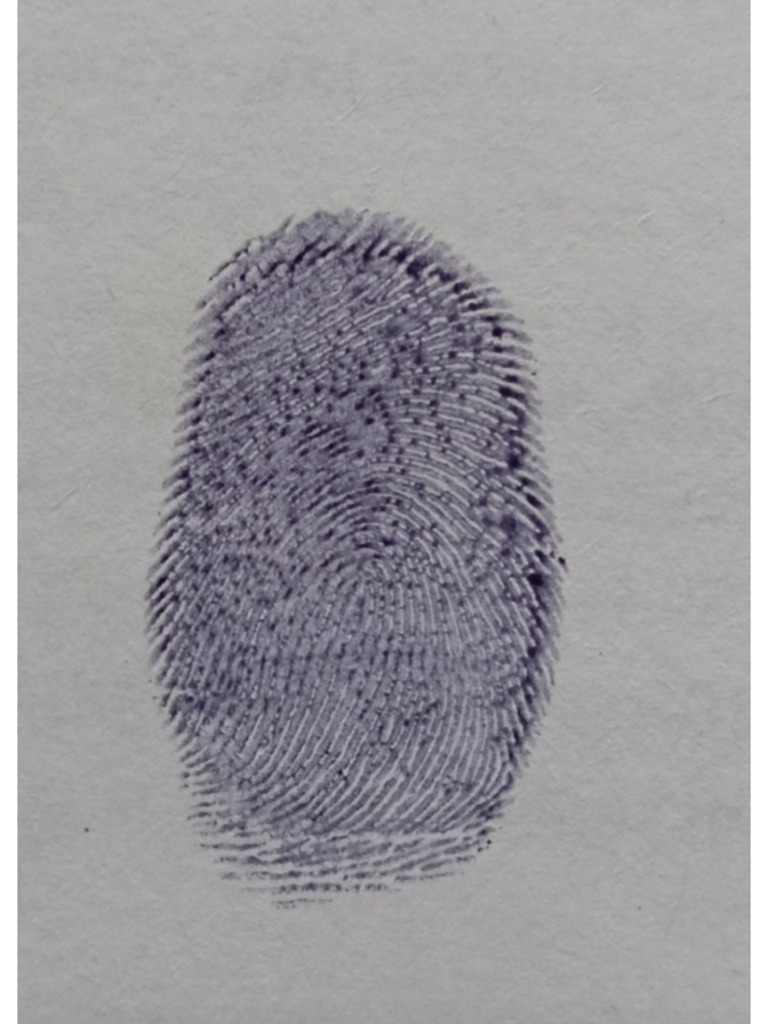 Thumb | PDF