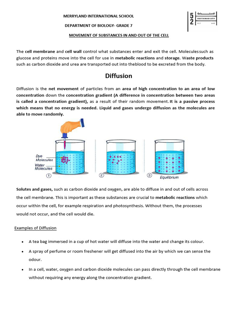 Cell Membrane: Substance Movement Explained | PDF | Diffusion ...