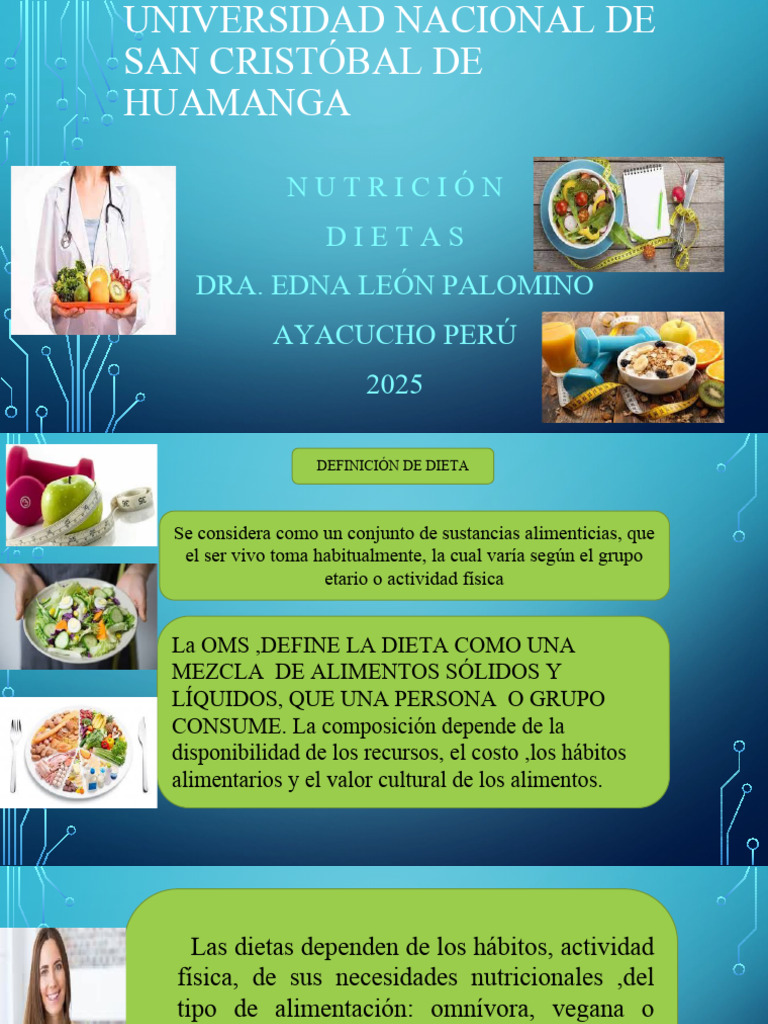 Definición y Tipos de Dietas Nutricionales | PDF | Dieta | Alimentos