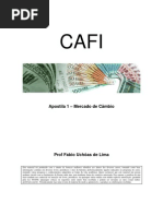 Livro Fabio Uchoa - Câmbio