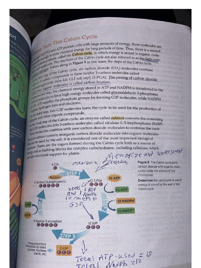 Converted Notes | PDF