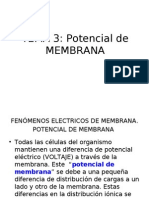 Potencial de Membrana 1