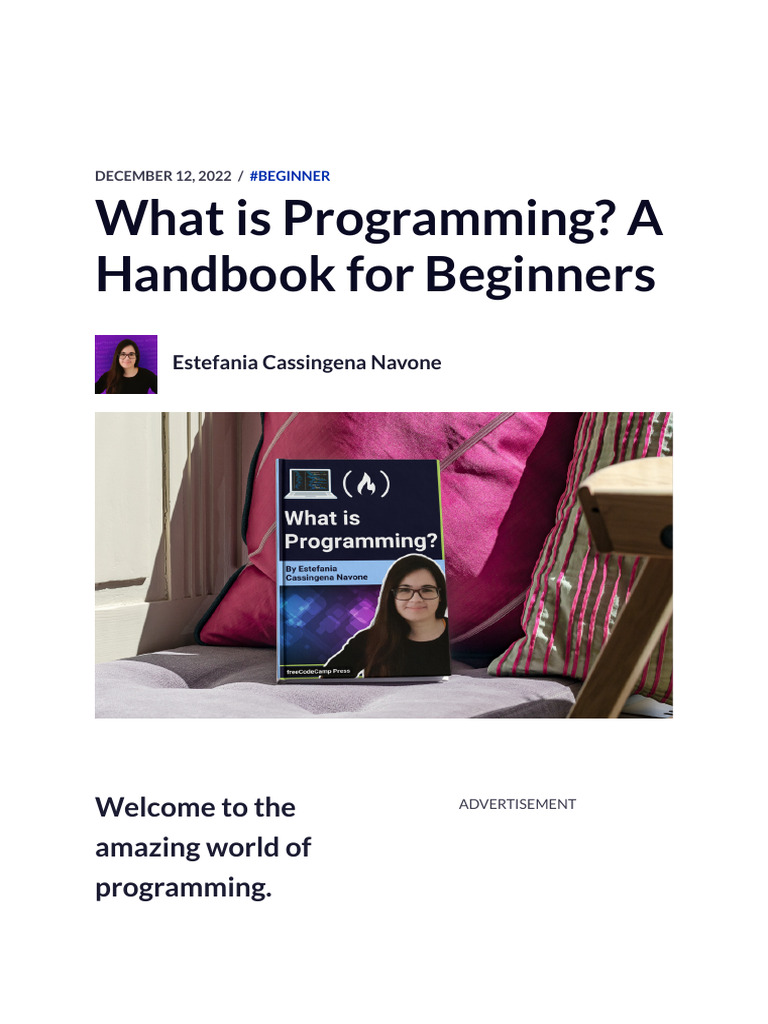 What Is Programming? A Handbook For Beginners | PDF | World Wide Web ...