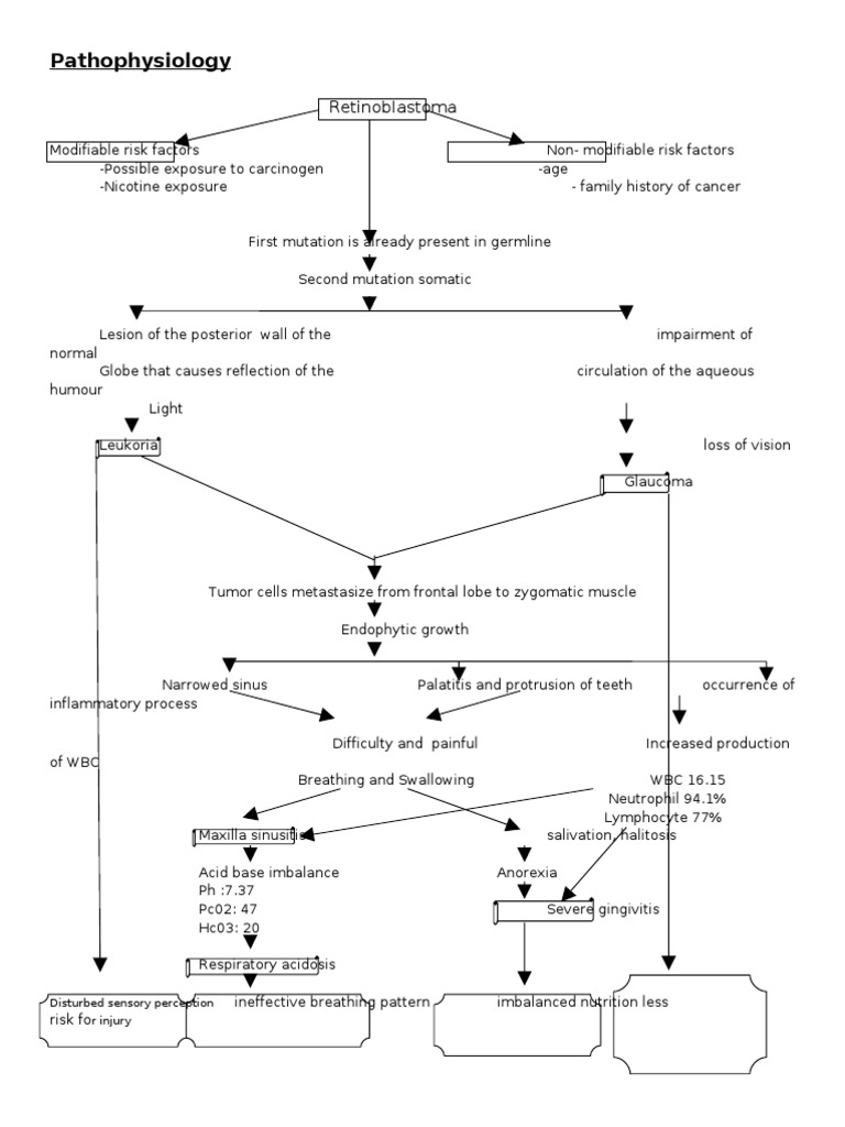 Retinoblastoma Pathophysiology Overview | PDF
