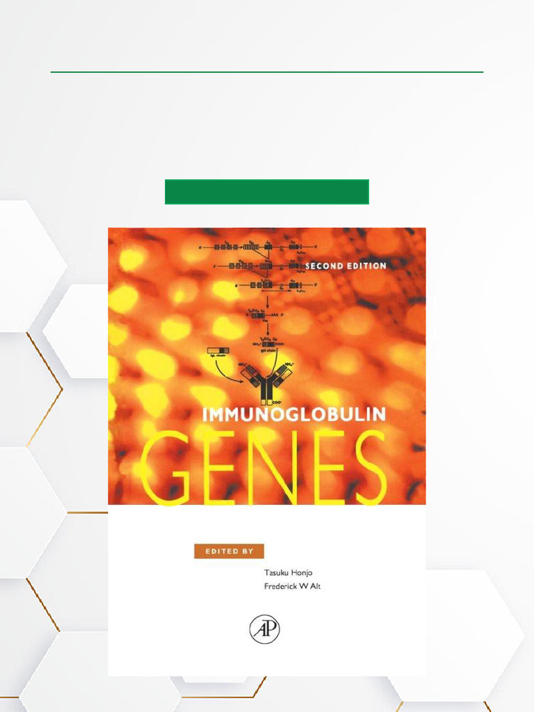Immunoglobulin Genes Overview and Insights | PDF | Antibody | Gene