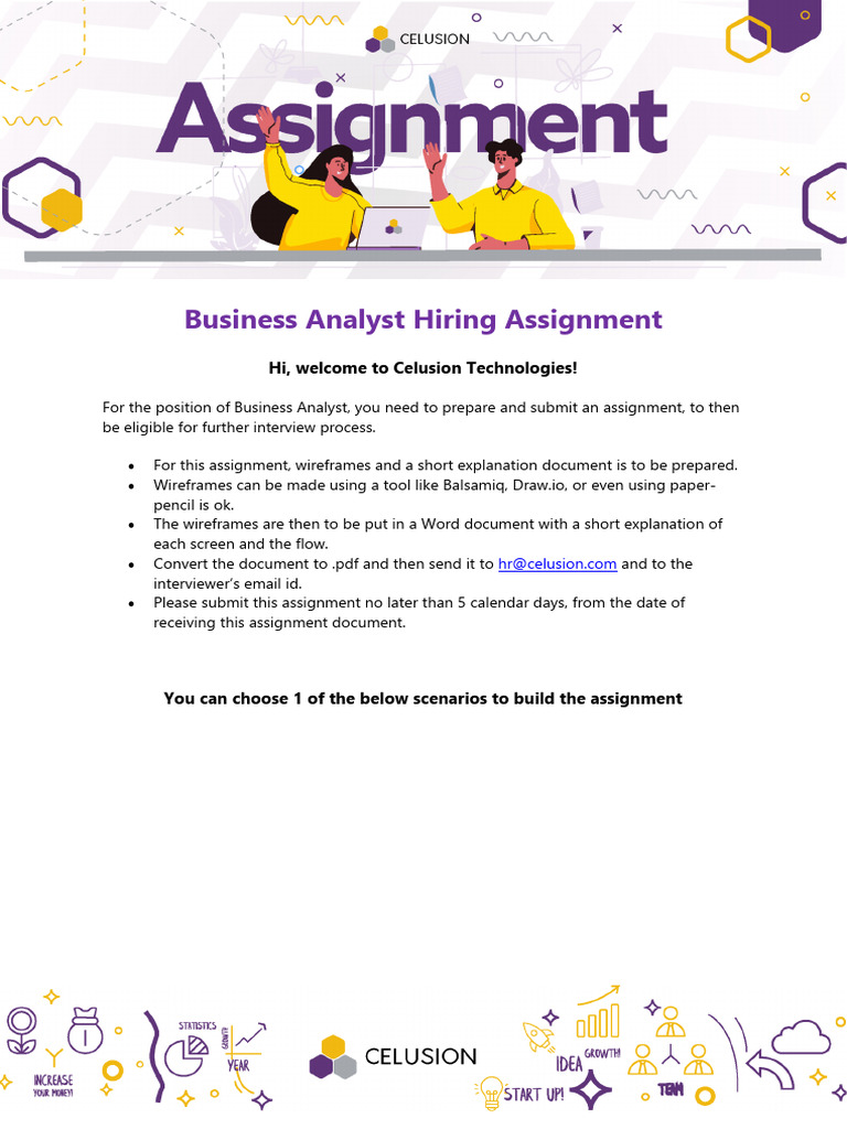Business Analyst Assignment Guidelines | PDF