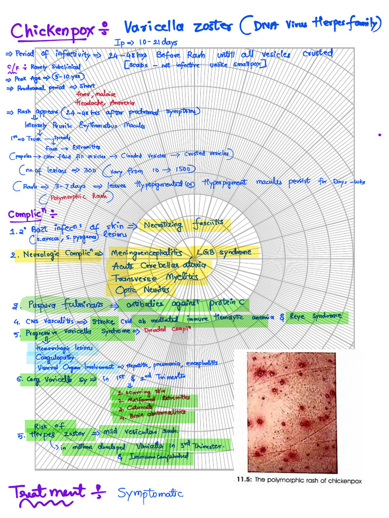 Chicken Pox | PDF