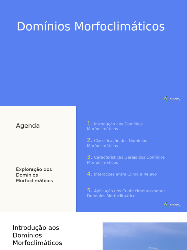 Classificação dos Domínios Morfoclimáticos | PDF | Biodiversidade ...