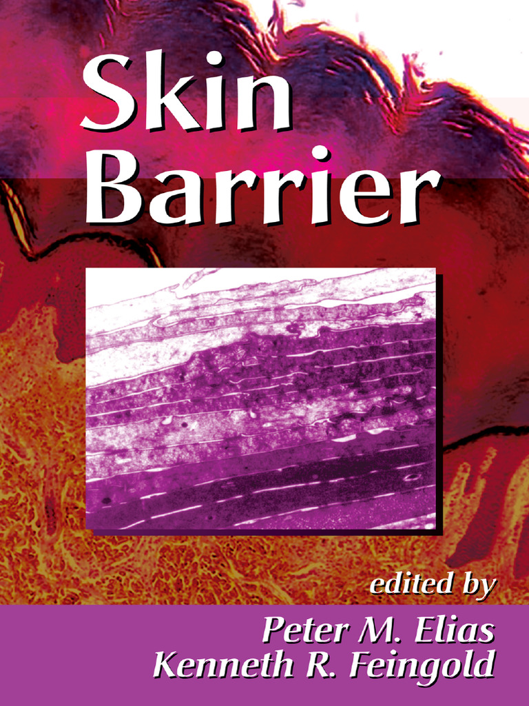 Stratum Corneum Barrier Functions Explained | PDF | Epidermis | Cell ...