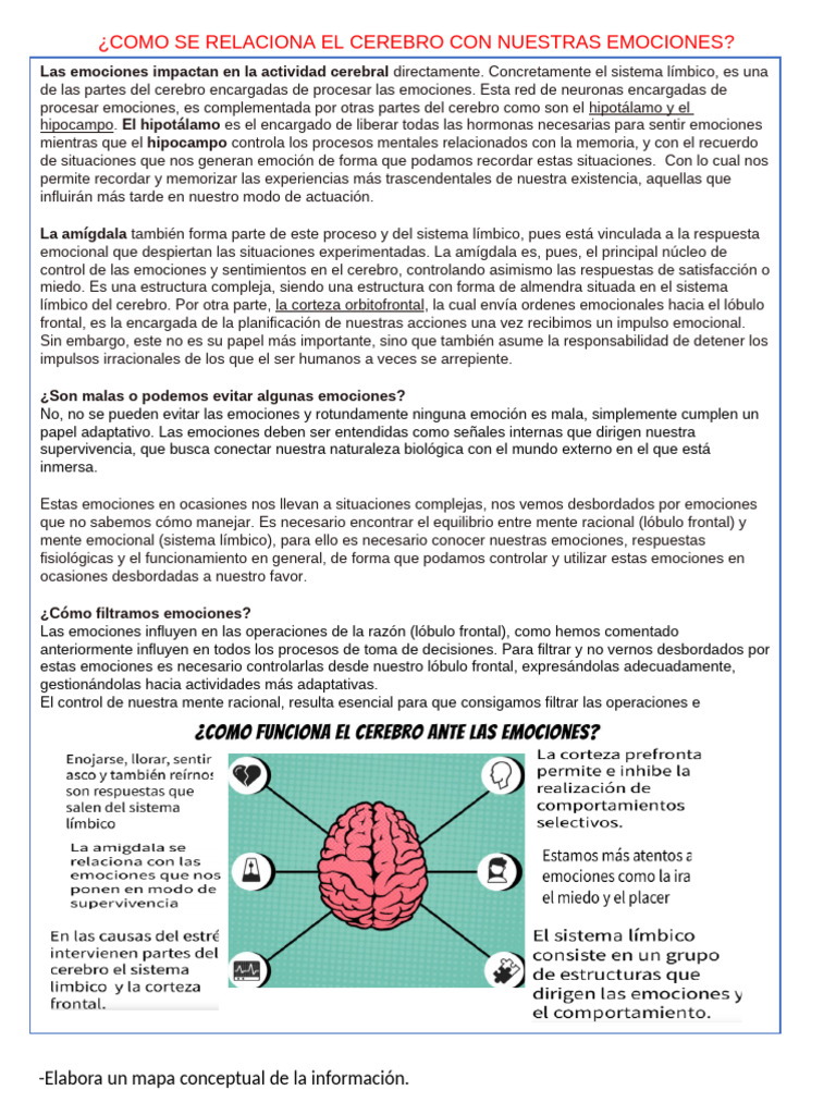 Relación entre cerebro y emociones | PDF | Las emociones | Cerebro