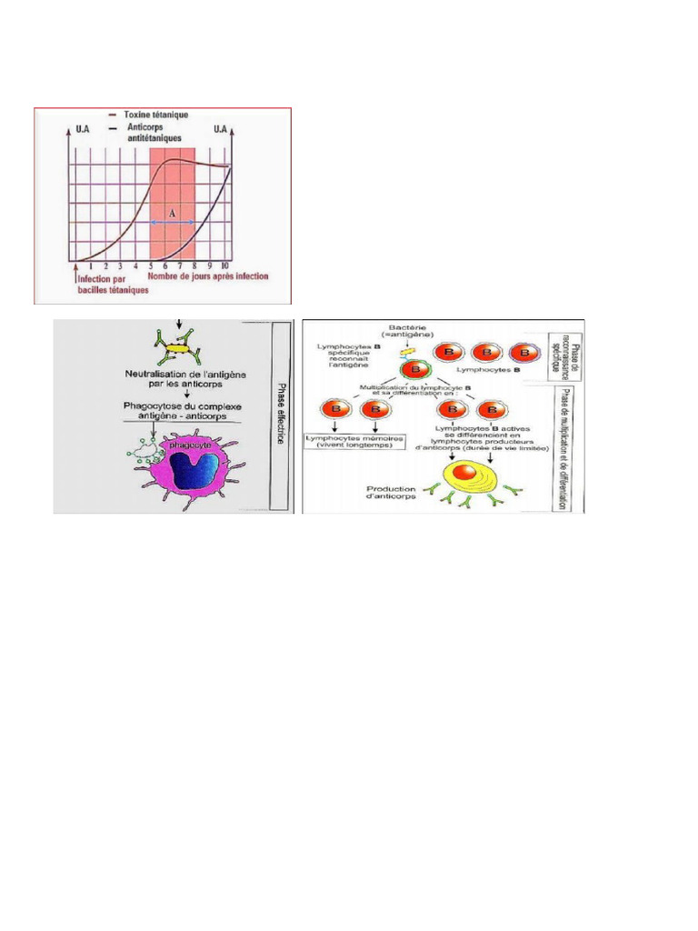 FHCC | PDF