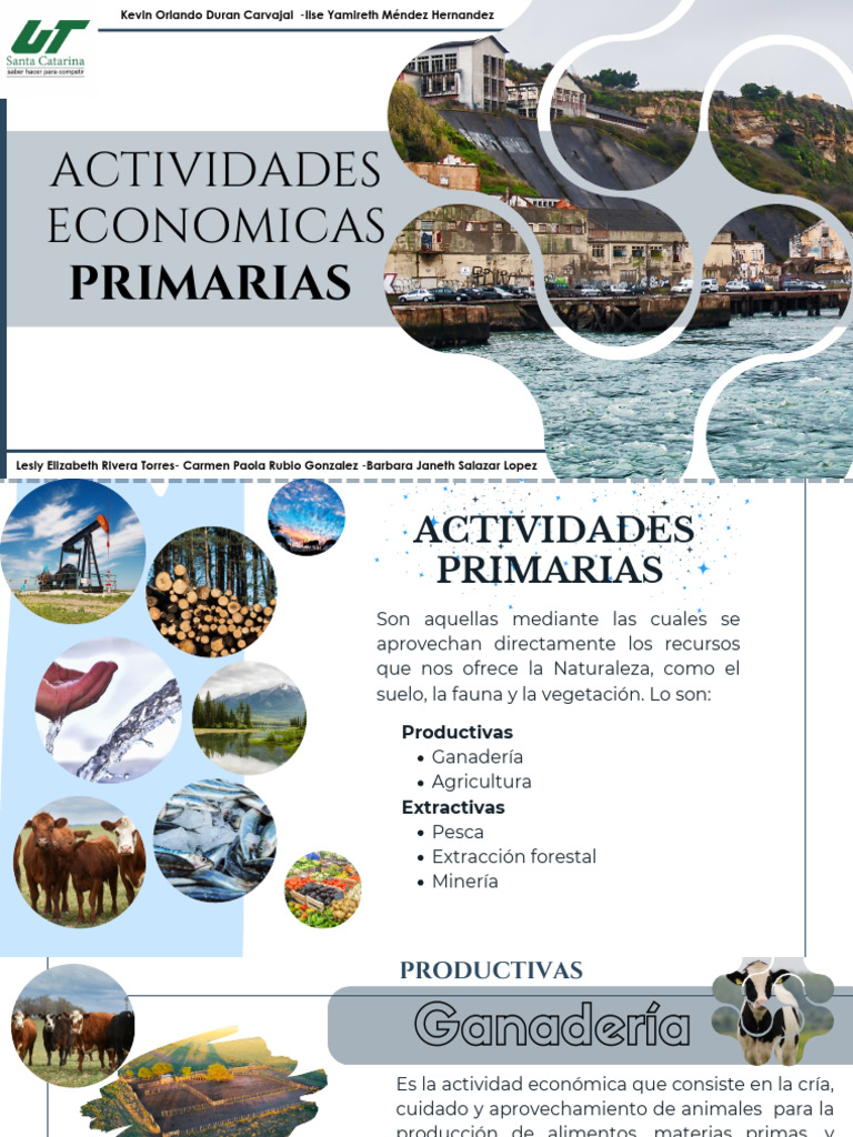 Actividades Económicas Primarias | PDF | Agricultura | Minería