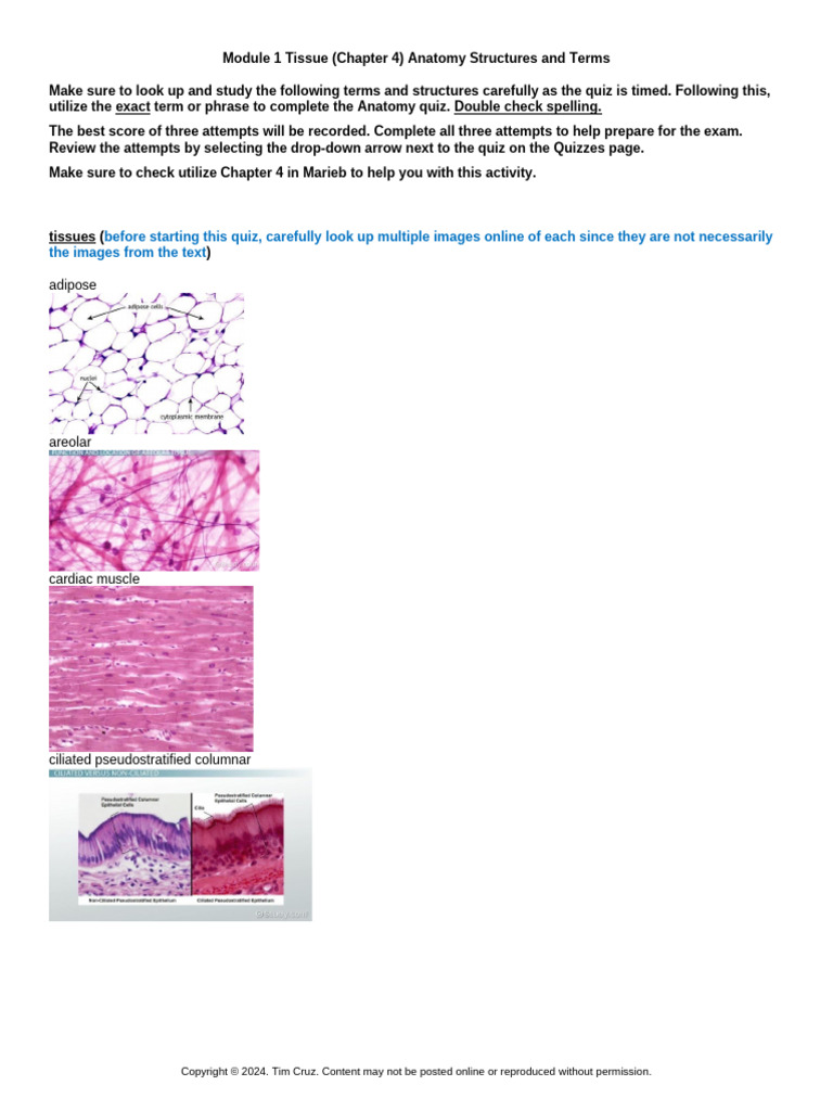 Module 1 Tissues (Chapter 4) Anatomy Structures and Terms | PDF