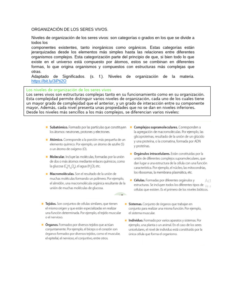 Organización de Los Seres Vivos | PDF | Organismos | Tejido (biología)