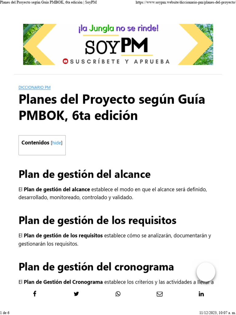 Planes del Proyecto según PMBOK 6ta Ed. | PDF | Gestión de proyectos ...