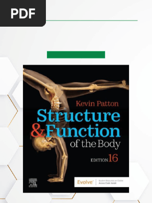 Structure & Function of the Body 16th Ed. | PDF | Lesson Plan