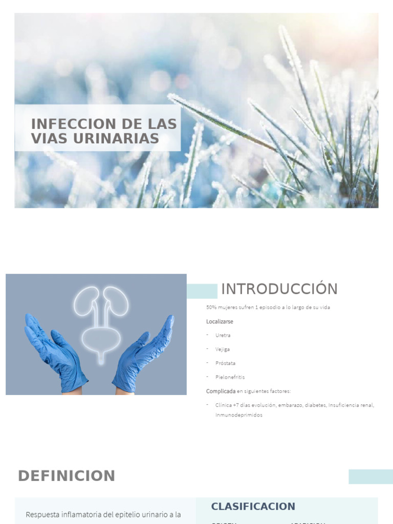 Infeccion de Las Vias Urinarias | PDF | Especialidades Medicas | Urología